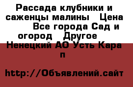 Рассада клубники и саженцы малины › Цена ­ 10 - Все города Сад и огород » Другое   . Ненецкий АО,Усть-Кара п.